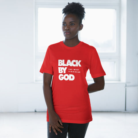 Unisex Deluxe T-shirt